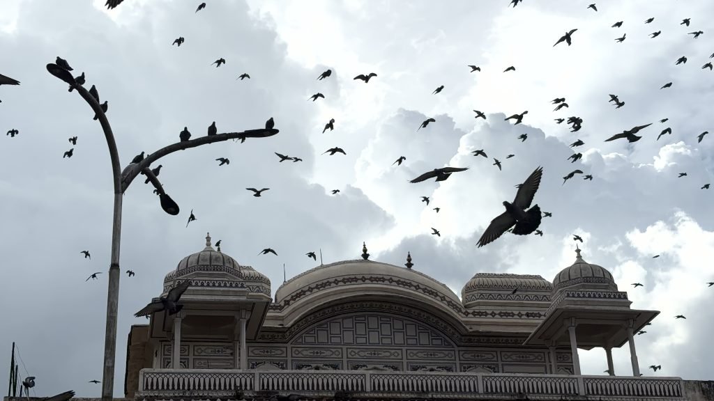 City Palace in Jaipur, Rajasthan — photograph 13
