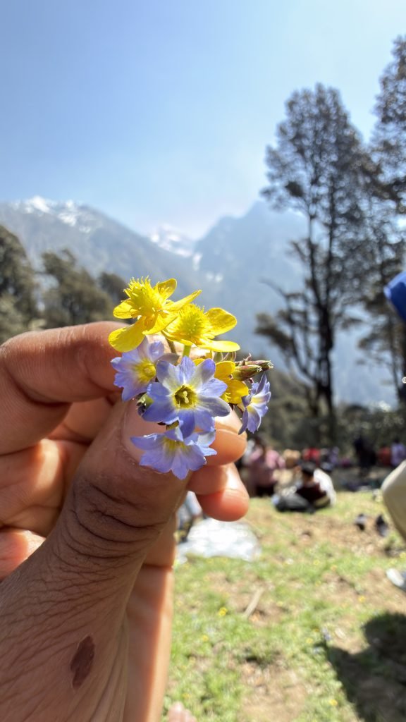 Madhyamaheshwar on the Panch Kedar yatra